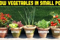 Space Efficient: Perfect For Balconies, Patios, Or Even Windowsills. Space Efficient: Perfect For Balconies, Patios, Or Even Windowsills.