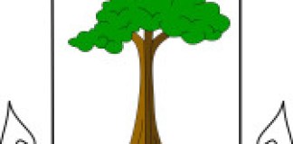 Equatorial Guinea: National Games to be held in August Equatorial Guinea: National Games to be held in August