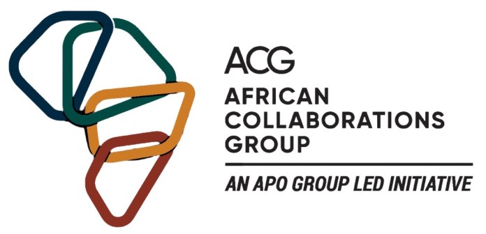 Chief Executive Officer – Infrastructure Origination and Collaboration Platform | Africa Chief Executive Officer – Infrastructure Origination and Collaboration Platform | Africa