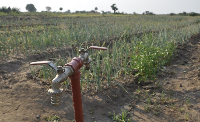 Mozambique: Farmers Have Been Abandoned, New Government Survey Shows Mozambique: Farmers Have Been Abandoned, New Government Survey Shows