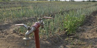 Mozambique: Farmers Have Been Abandoned, New Government Survey Shows