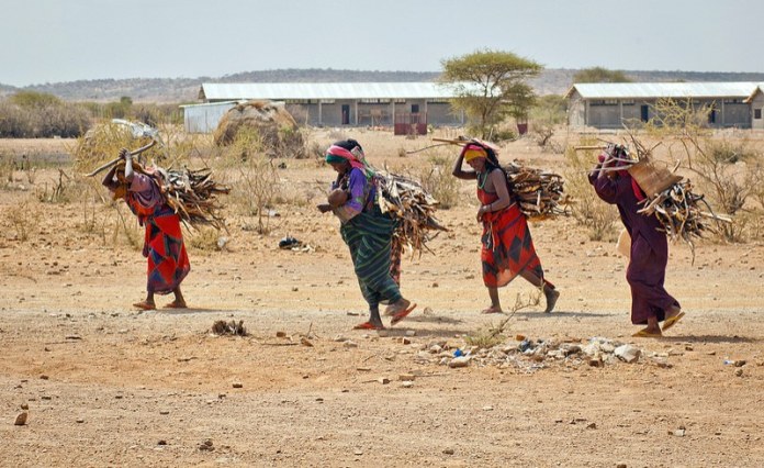 Sudan: Refugees Escaping Sudan Face Escalating Hunger and Malnutrition As Food Aid Risks Major Reductions Sudan: Refugees Escaping Sudan Face Escalating Hunger and Malnutrition As Food Aid Risks Major Reductions