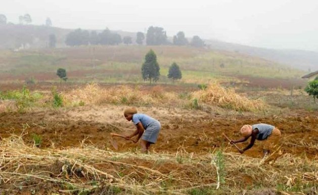 Cameroon: From Grain to Gain – a Story of Women’s Empowerment and Food Security in Cameroon Cameroon: From Grain to Gain – a Story of Women’s Empowerment and Food Security in Cameroon
