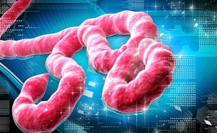 Nigeria Confirms Ebola Case in Abuja, Begins Contact Tracing Nigeria Confirms Ebola Case in Abuja, Begins Contact Tracing