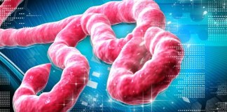 Nigeria Confirms Ebola Case in Abuja, Begins Contact Tracing
