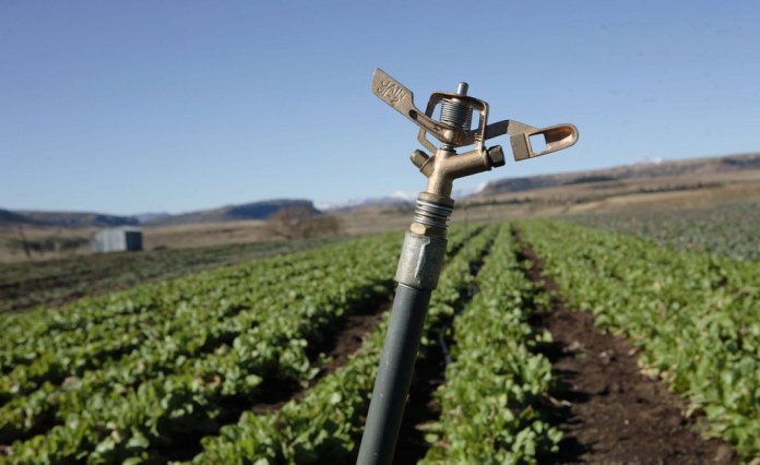 Lesotho: LEC Bankrupt – allAfrica.com Lesotho: LEC Bankrupt – allAfrica.com