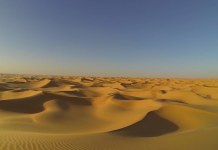 Nigeria: We Drank Our Urine to Survive – Libya Returnee Recounts Desert Ordeal