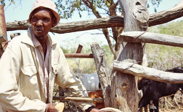 Botswana On High Alert As South Africa Reports Foot and Mouth Disease Outbreak Botswana On High Alert As South Africa Reports Foot and Mouth Disease Outbreak