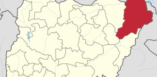 Nigeria: Boko Haram Fighters Gun Down Farmers in Borno