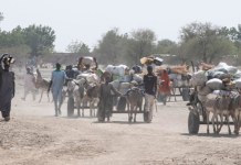 Africa: ISWAP’s Next Frontier – Darak in Northern Cameroon