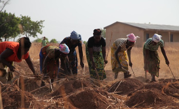 Ghana: Devastating Effects of Climate Change On Women Farmers in Northern Ghana Ghana: Devastating Effects of Climate Change On Women Farmers in Northern Ghana