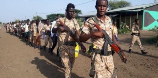 Ethiopia: Four African Countries Call for De-Escalation of Tension in Ethiopia
