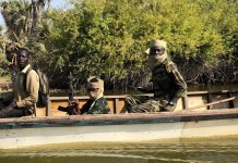 Chad: New Cameroonian Army Camps Alone Won’t Secure Lake Chad