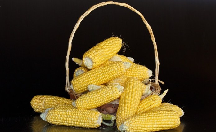 Zambia Dismisses Fake Reports, Confirms Maize Export Deal With Malawi Still On Zambia Dismisses Fake Reports, Confirms Maize Export Deal With Malawi Still On