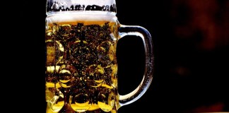 Botswana: Councillors Reject Proposed Liquor Act