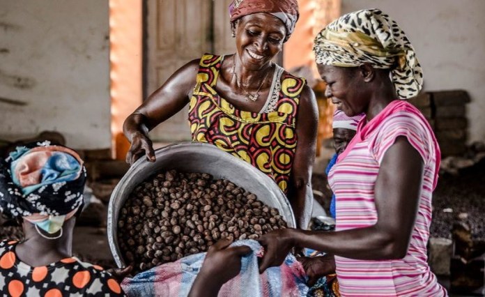 Ghana: Shea Industry Key to 24-Hour Economy Ghana: Shea Industry Key to 24-Hour Economy