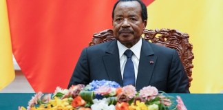 Cameroon: Parliament Approves Return of Vice-President in Cameroon