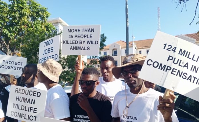 Botswana Hunting Revenues Almost Double Amid UK Opposition Botswana Hunting Revenues Almost Double Amid UK Opposition