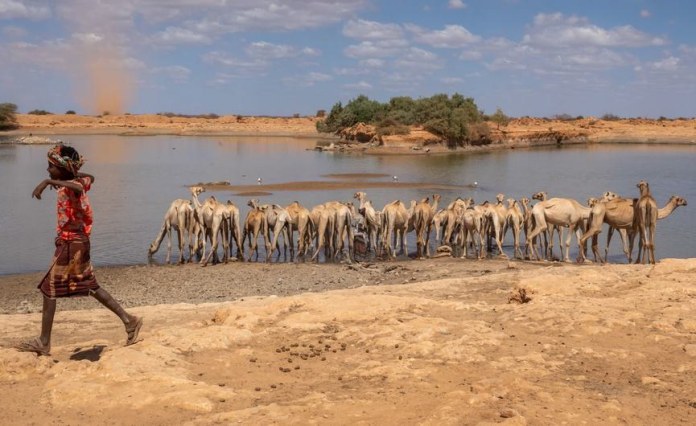 Ethiopia: From GERD to Red Sea – Ethiopia’s Strategic Future Amid Regional Power Politics, U.S. Pressure Ethiopia: From GERD to Red Sea – Ethiopia’s Strategic Future Amid Regional Power Politics, U.S. Pressure