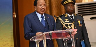 Cameroon’s Biya Appoints Son Vice President, Head of Armed Forces
