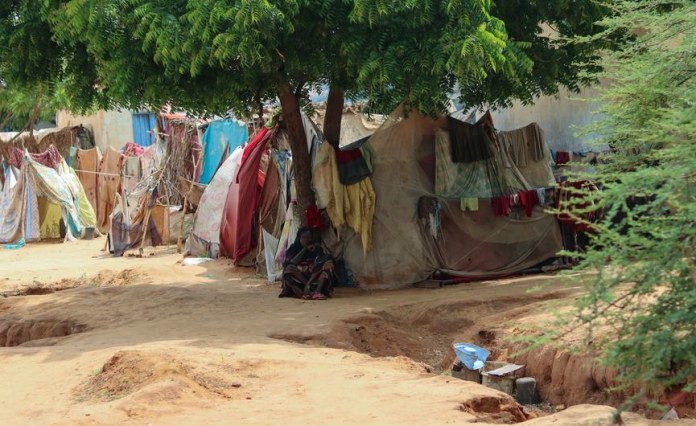 Sudan: El Fasher Mosque and Hospital Attacks Leave At Least 20 Dead Sudan: El Fasher Mosque and Hospital Attacks Leave At Least 20 Dead