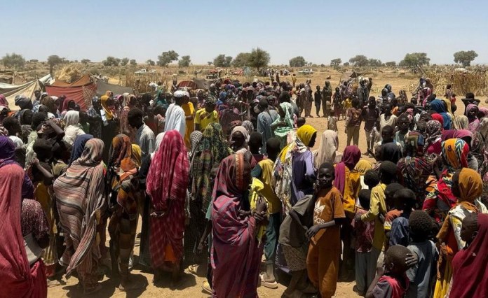 Africa: Seven Peace and Security Priorities for Africa in 2026 Africa: Seven Peace and Security Priorities for Africa in 2026