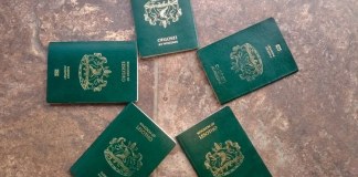 South Africa and Lesotho Agree That IDs Will Be Enough to Cross the Border
