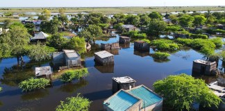Mozambique Flood Death Toll Rises to 270, Says PM
