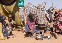 Sudan Hunger Crisis Deepens As Aid Cuts Collide With Crop Failure in Darfur