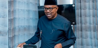 Nigeria: The Political Education of Peter Obi
