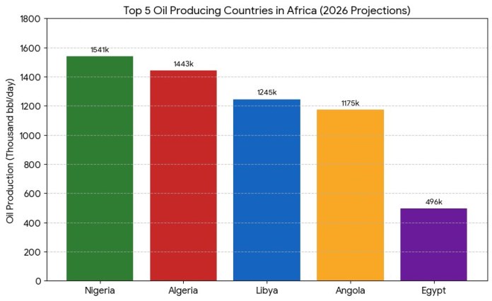 Africa: With Smart Investments, African Oil Could Fill Half the Supply That Usually Goes Through the Strait of Hormuz Africa: With Smart Investments, African Oil Could Fill Half the Supply That Usually Goes Through the Strait of Hormuz