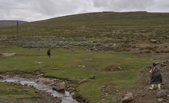 Lesotho: The Mountain Men Behind Lesotho’s Wool Wealth Lesotho: The Mountain Men Behind Lesotho’s Wool Wealth
