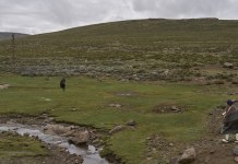 Lesotho: The Mountain Men Behind Lesotho’s Wool Wealth