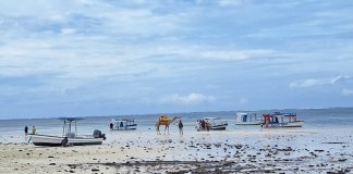 Kenya: ‘We Only Have One Ocean’ – Kenya’s ‘Mother Mangrove’ Calls for Urgent Ocean Protection
