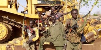 Sudan: Weekly News Briefs – Fighting in Blue Nile Region; SAF Advance in North Kordofan, West Darfur