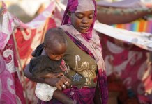 Sudan: El Fasher – Survivors of the RSF Invasion Face Famine, Displacement, and a Bitter Wait for Justice
