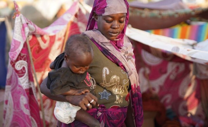 Sudan: El Fasher – Survivors of the RSF Invasion Face Famine, Displacement, and a Bitter Wait for Justice Sudan: El Fasher – Survivors of the RSF Invasion Face Famine, Displacement, and a Bitter Wait for Justice