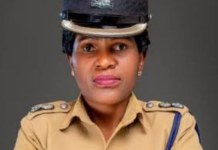 Malawi: Police Confirm Egyptian Deputy Ambassador Beaten in Lilongwe Attack