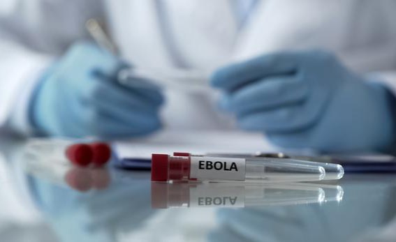 Sudan: What Is Sudan Virus and How Similar Is It to Ebola? Sudan: What Is Sudan Virus and How Similar Is It to Ebola?