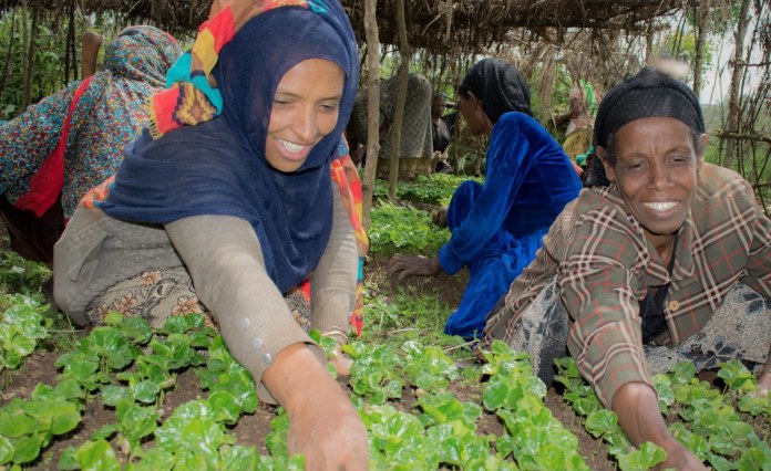 Africa: Feed the Future Announces Million to Double Down on Food Security in Malawi, Tanzania, and Zambia Africa: Feed the Future Announces Million to Double Down on Food Security in Malawi, Tanzania, and Zambia