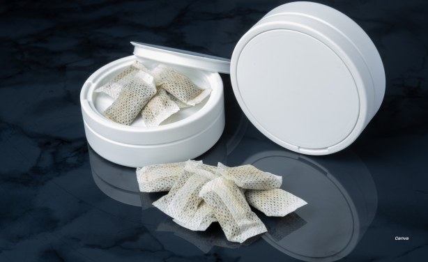 Africa: Nicotine Pouches – A Public Health Opportunity in Africa’s Tobacco Harm Reduction Journey Africa: Nicotine Pouches – A Public Health Opportunity in Africa’s Tobacco Harm Reduction Journey
