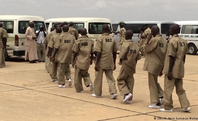 Nigeria: 263 Boko Haram Terrorists Surrender in One Week – Official Nigeria: 263 Boko Haram Terrorists Surrender in One Week – Official