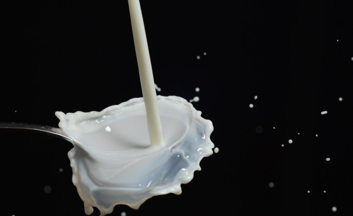 Kenya: Portable Pasteurizer Keeps Milk Disease-Free for Kenyan, Rwandan Dairy Farmers Kenya: Portable Pasteurizer Keeps Milk Disease-Free for Kenyan, Rwandan Dairy Farmers