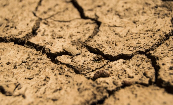 Southern Africa: Namibia Seeks Solutions During Dire Drought Southern Africa: Namibia Seeks Solutions During Dire Drought