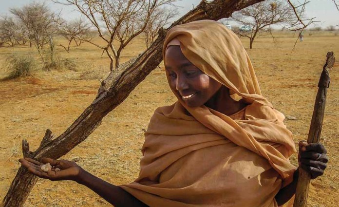 Sudan: As Sudan’s War Rages, Its Farmers Help Fill the Hunger Gap Sudan: As Sudan’s War Rages, Its Farmers Help Fill the Hunger Gap