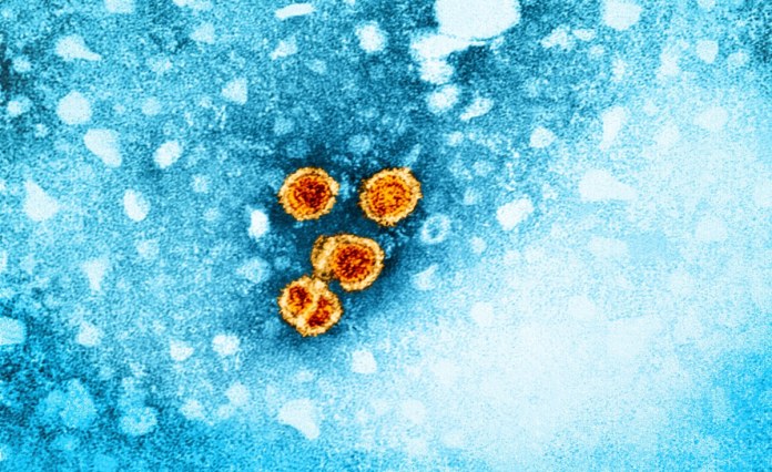 Egypt Achieves WHO Regional Target for Hepatitis B Control Egypt Achieves WHO Regional Target for Hepatitis B Control