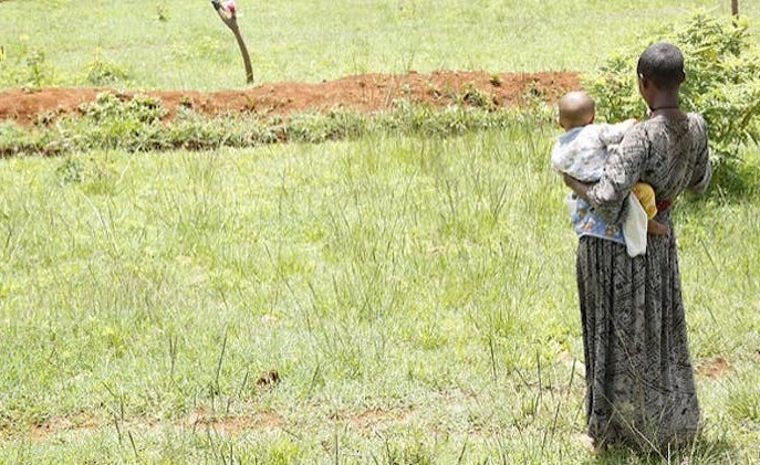Zambia: Drought Emergency in Zambia – Child Marriage, HIV and Hunger On the Rise for Women and Girls Zambia: Drought Emergency in Zambia – Child Marriage, HIV and Hunger On the Rise for Women and Girls