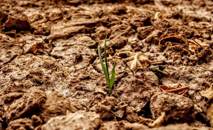 Zambia: World Bank Stamps 8 Million Zambia Grant to Face Drought Zambia: World Bank Stamps 8 Million Zambia Grant to Face Drought
