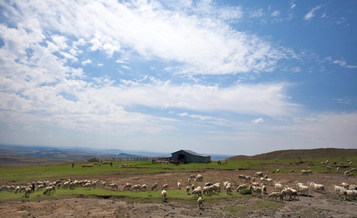 Africa: Many Basotho Eye Jobs in South Africa, but Most Favour Limited in-Migration Africa: Many Basotho Eye Jobs in South Africa, but Most Favour Limited in-Migration