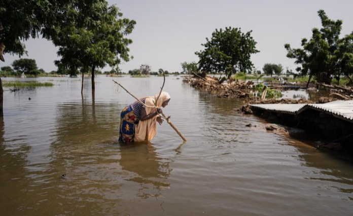 West Africa: Floods Devastate West and Central Africa West Africa: Floods Devastate West and Central Africa